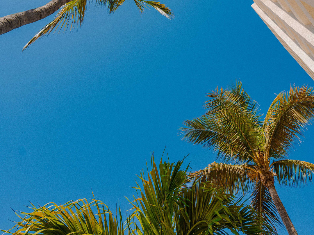 Sunset Palace Beach Hotel主图