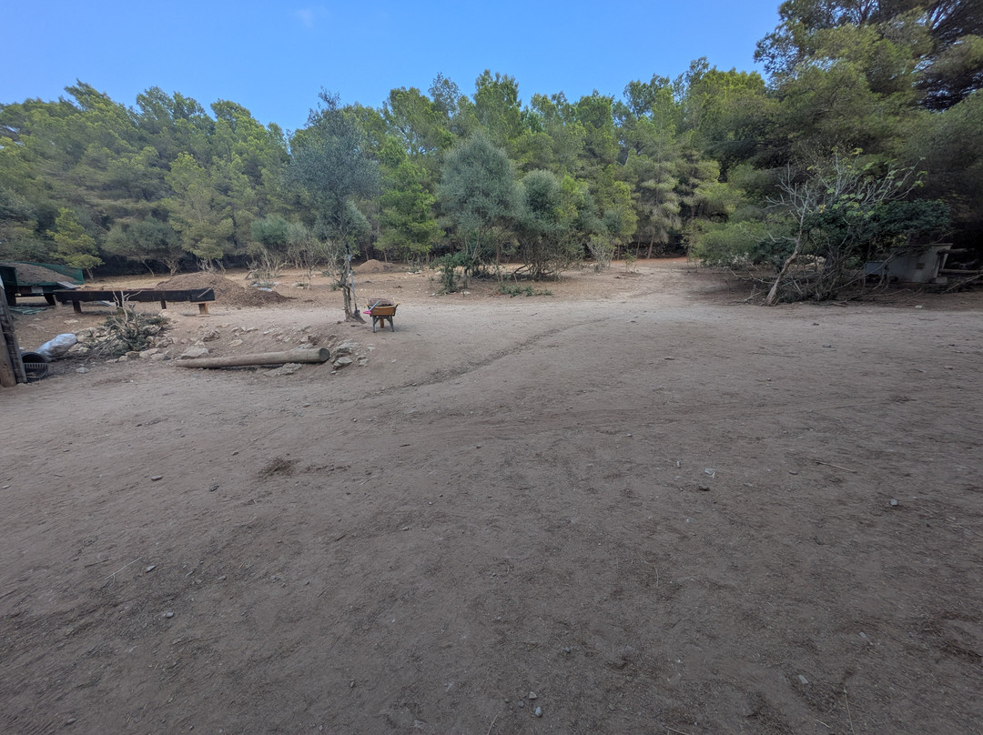 Rancho Cala Mandia-Cala Mandia必去景点