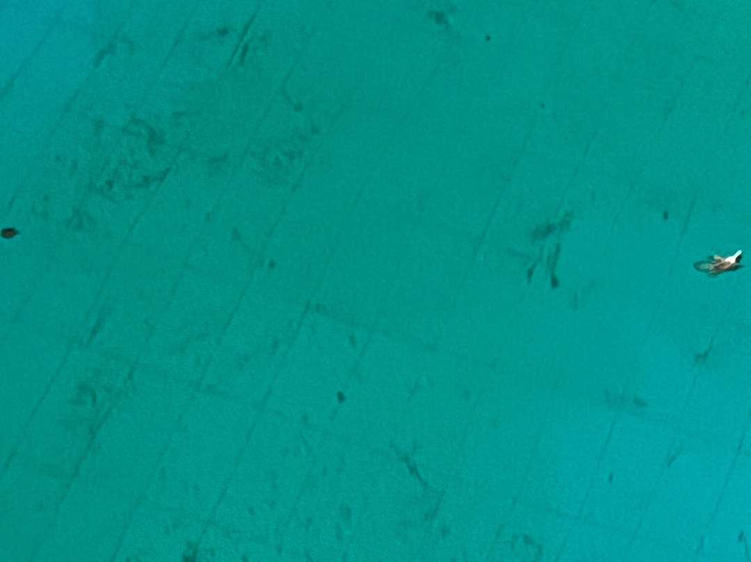 Campoverde Apartments主图