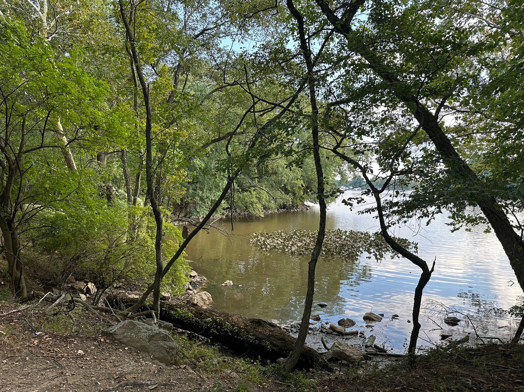 Amico Island Park-Delran必去景点