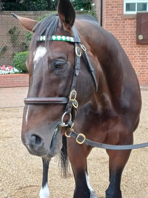 Discover Newmarket Tours-纽马克特必去景点