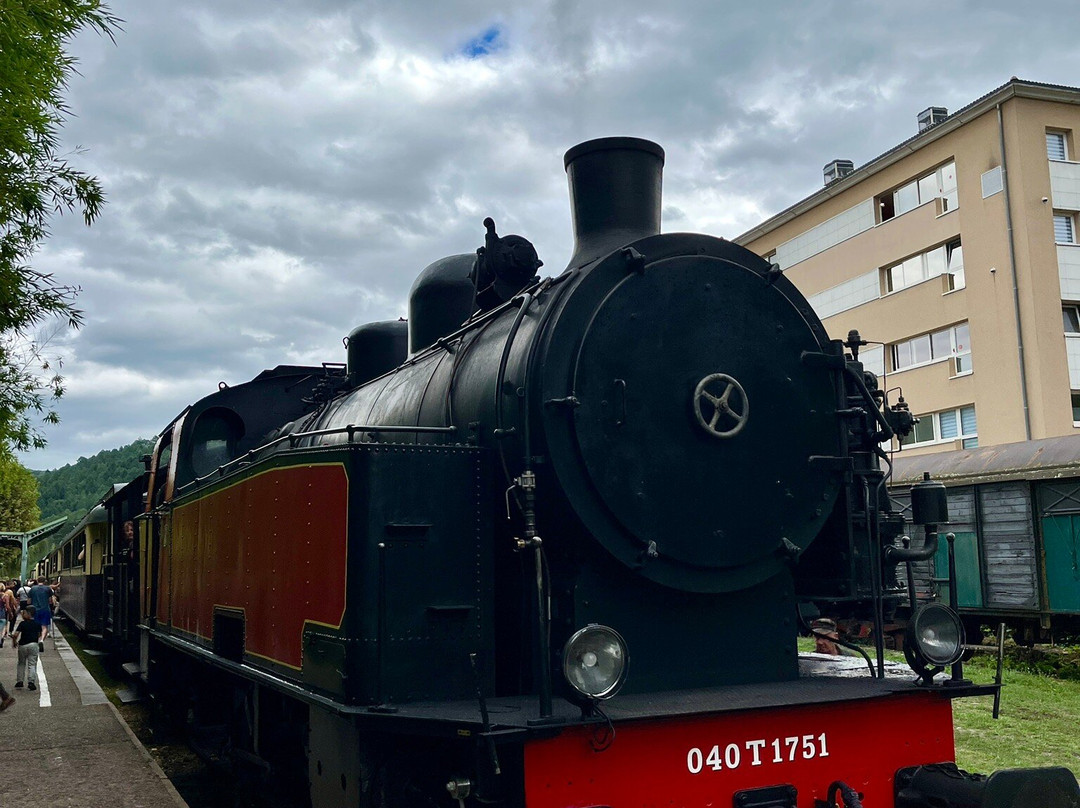 Train à Vapeur des Cévennes-Anduze必去景点