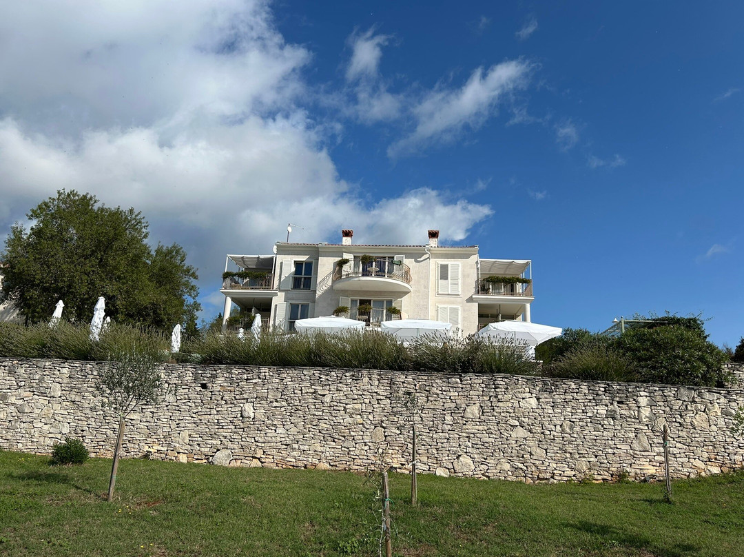 Small Boutique Hotel Villa Stefanija主图
