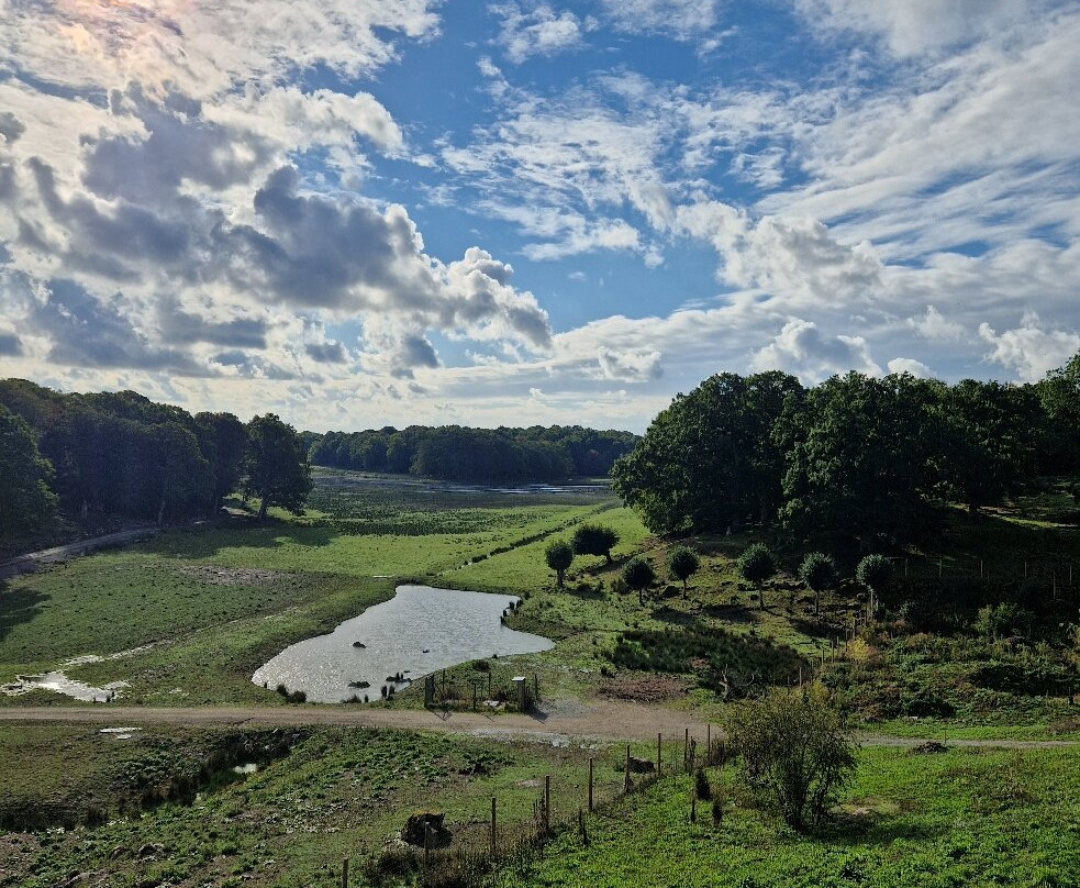 Eriksberg Hotel & Nature Reserve主图