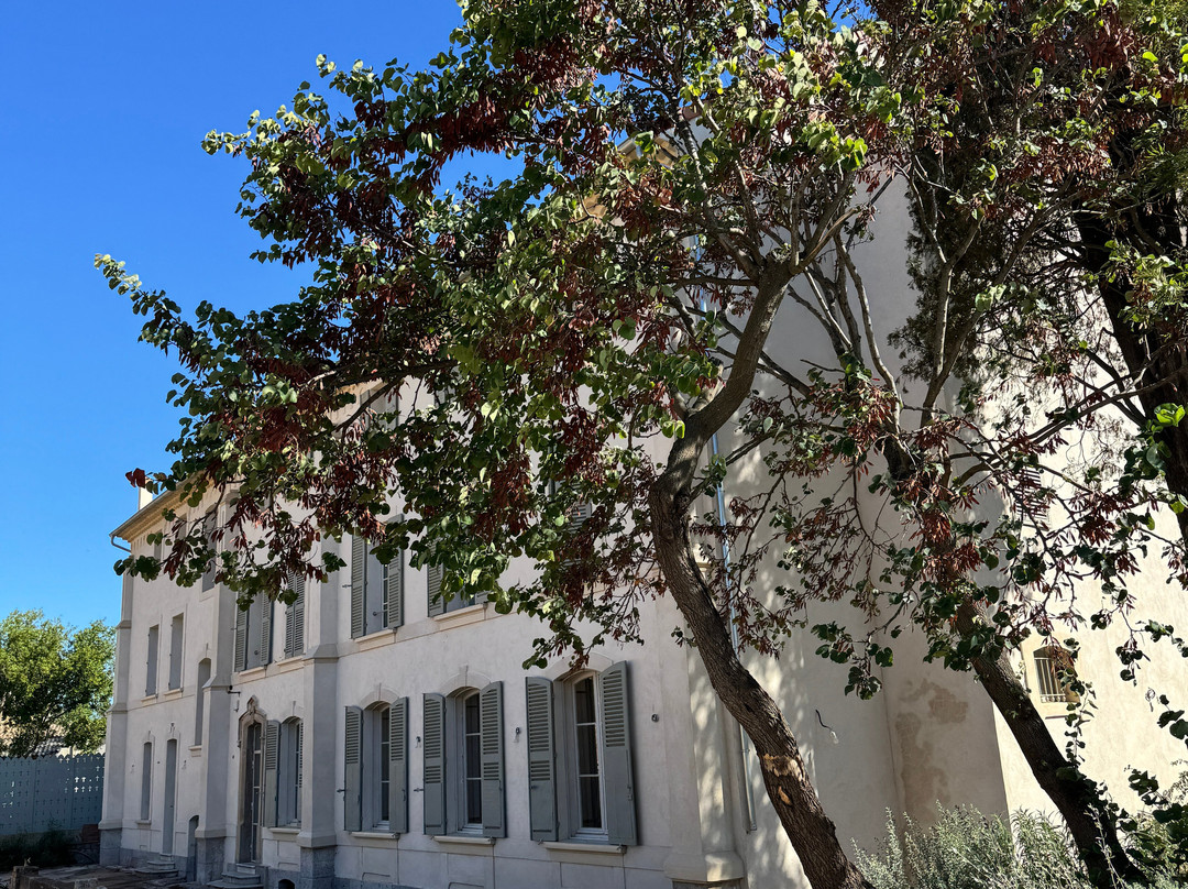 Dégustation Vignes Et Patrimoine-Carqueiranne必去景点