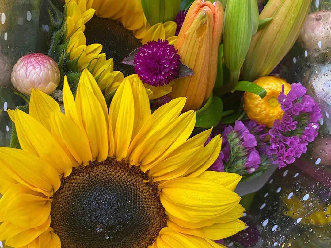 Noosa Farmers Market-努沙必去景点