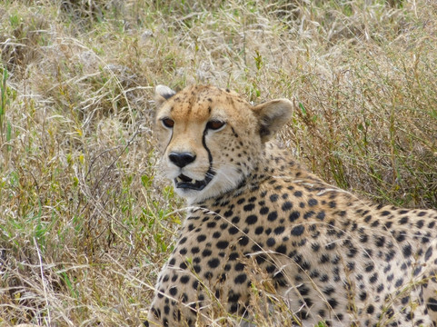 Shah Tours-莫西必去景点