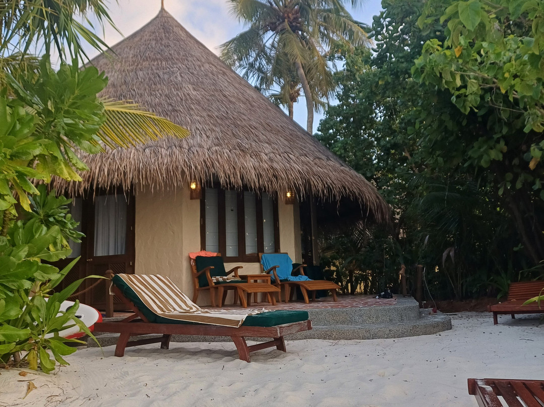 柯可棕榈杜妮科酒店主图