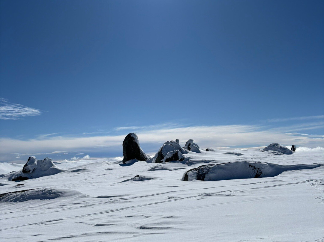 GirlsTrek-布里斯班必去景点