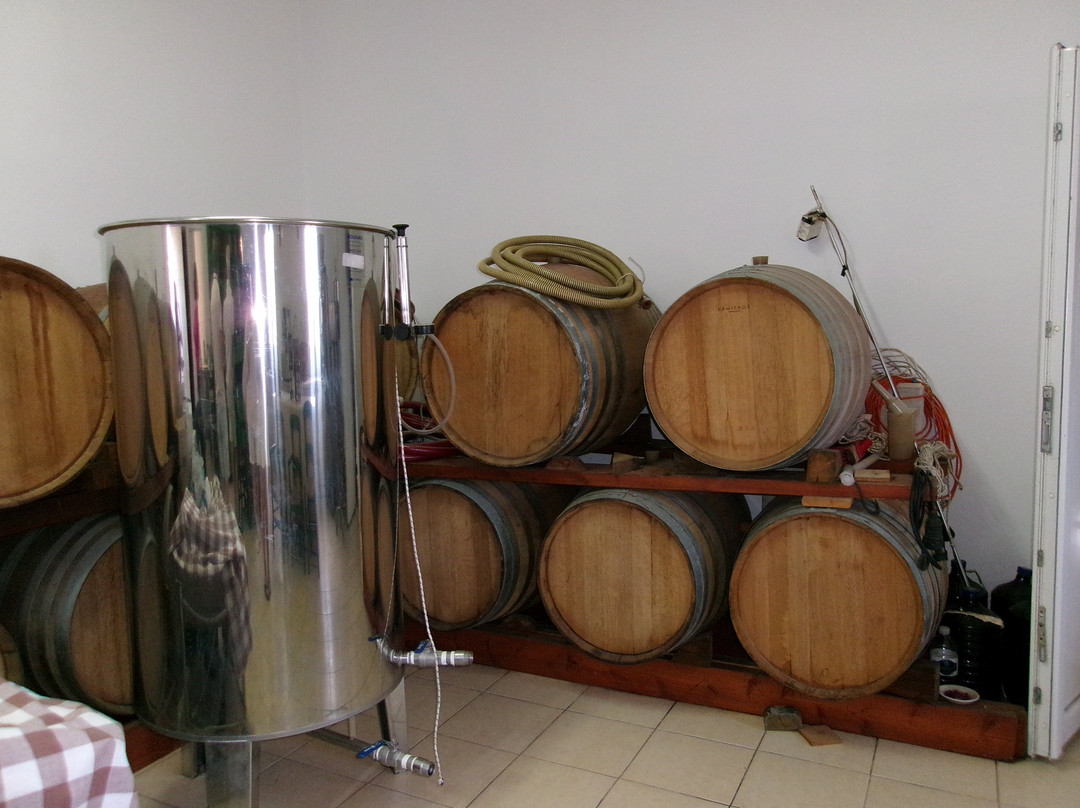 Hatzidakis Winery-Léros必去景点