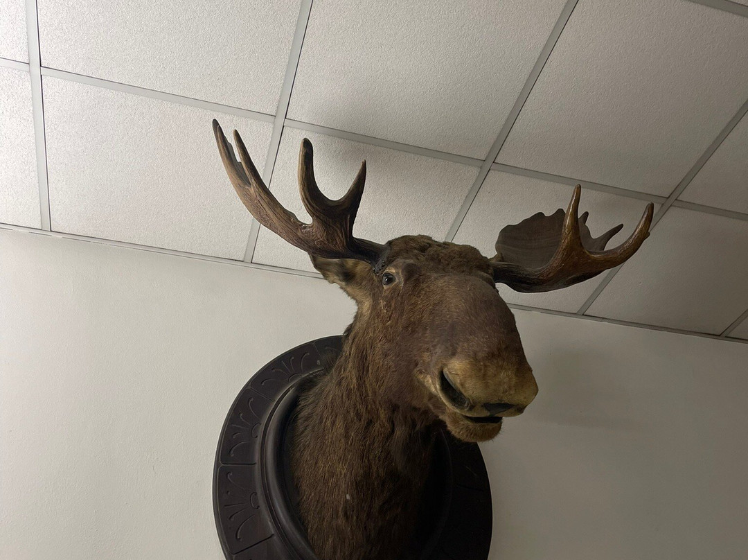 Museo di Storia Naturale Faraggiana Ferrandi-诺瓦拉必去景点