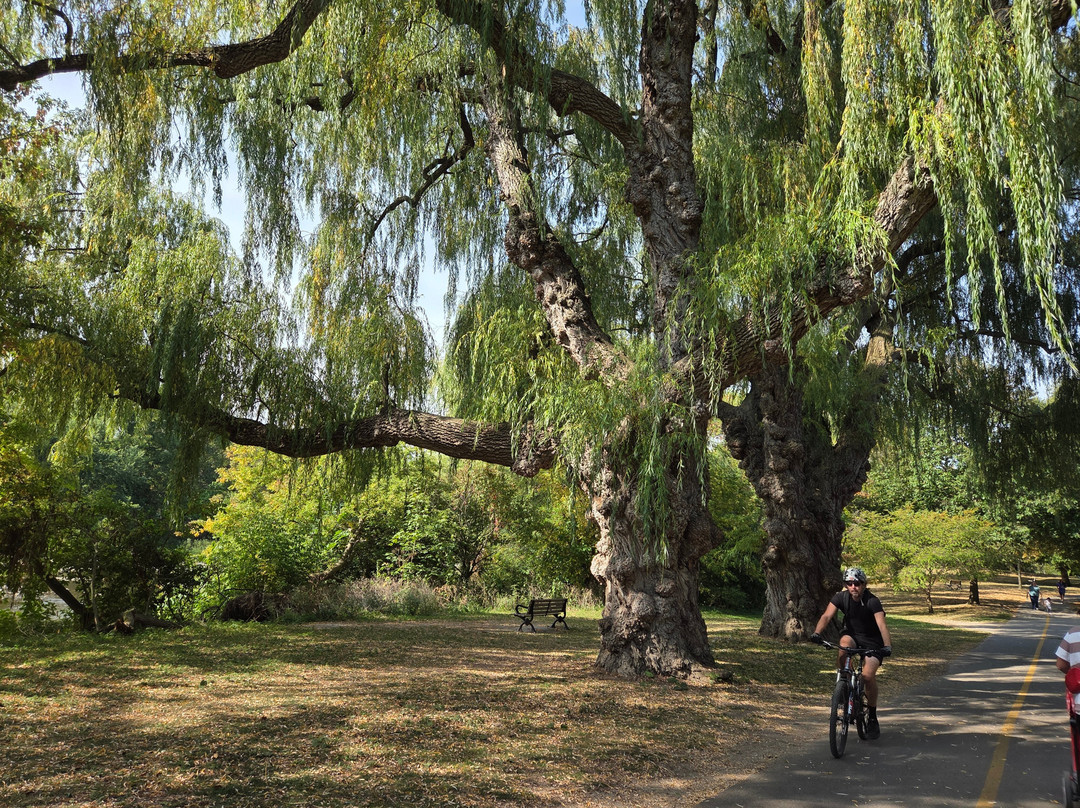 Gibbons Park-伦敦必去景点