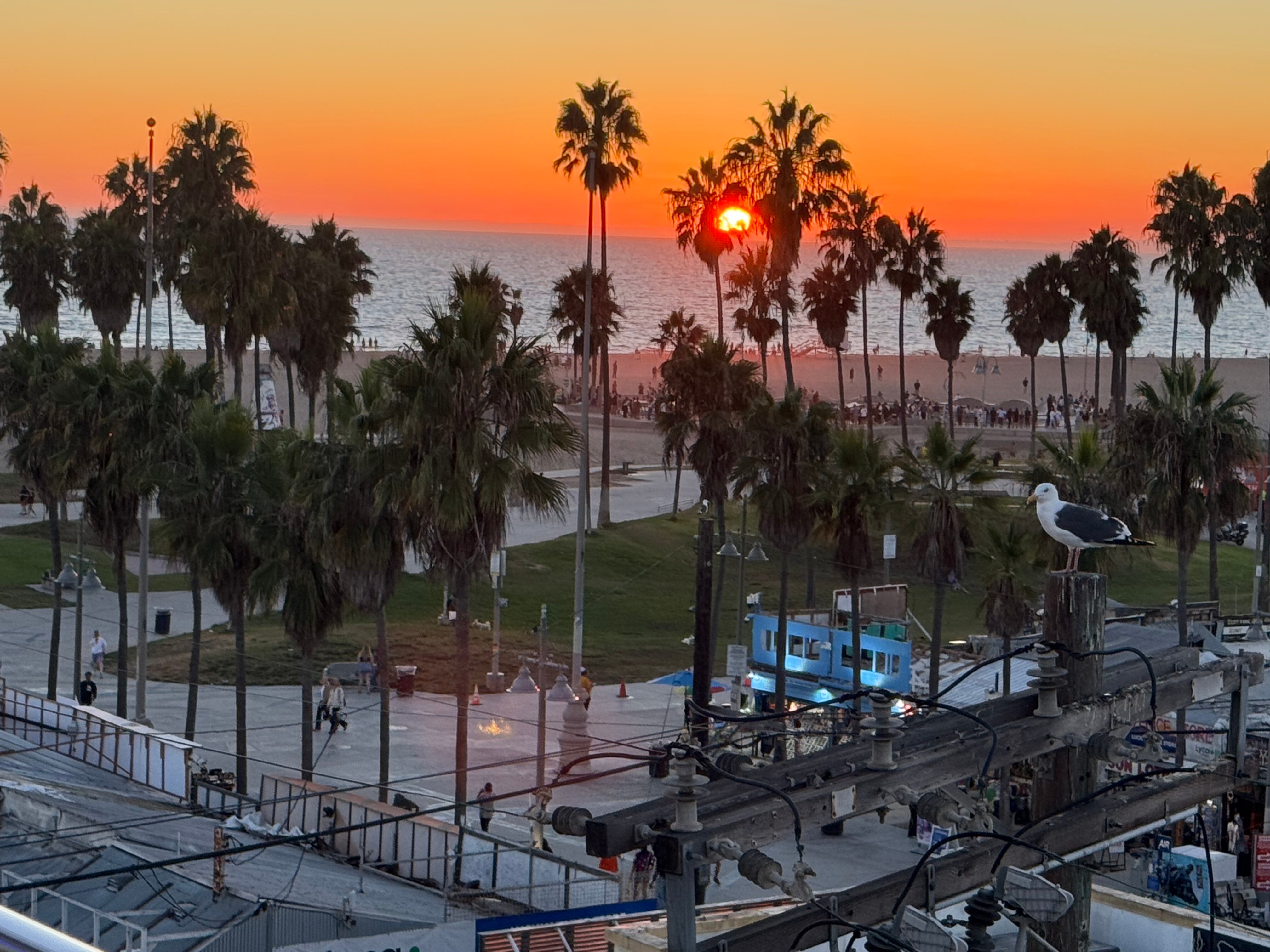 欧文酒店-酒店景观
