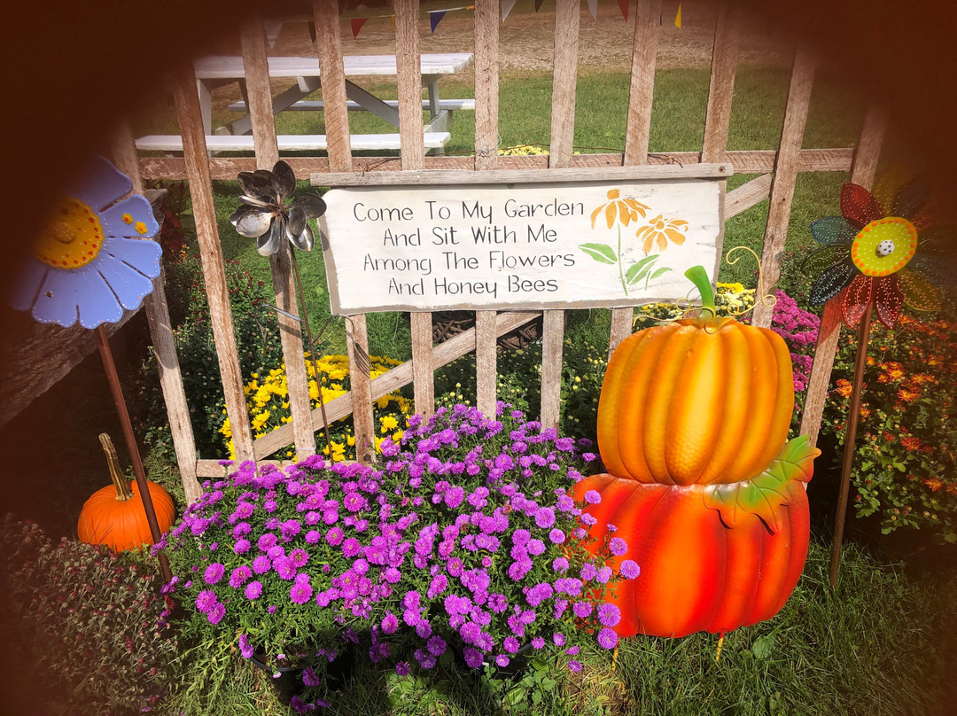 Verhage Fruit Farm & Cider Mill-卡拉马祖县必去景点