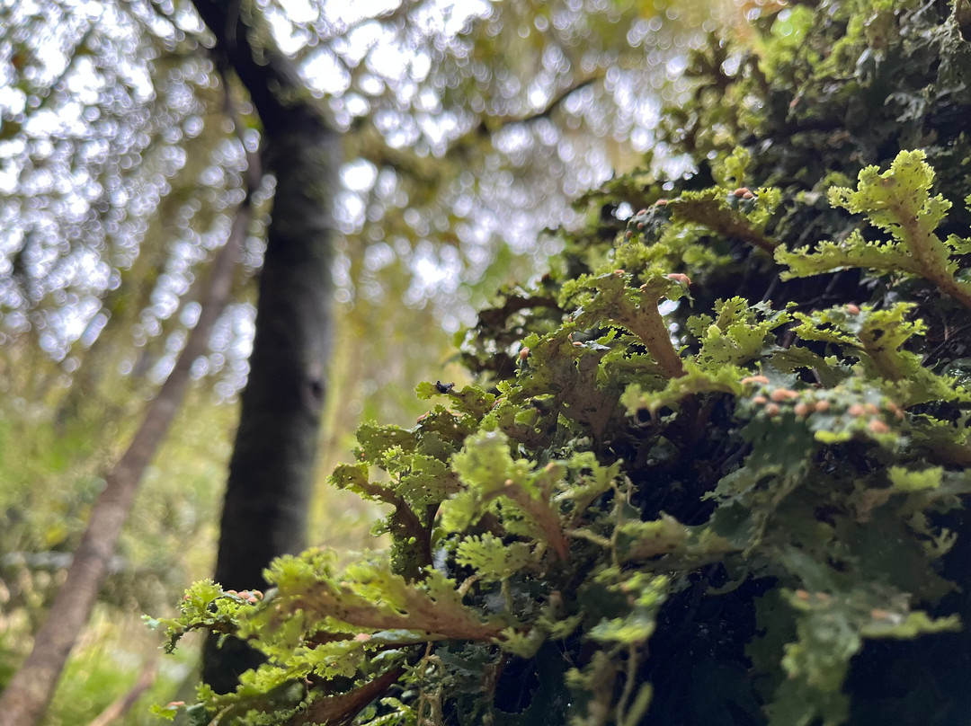 Catlins Tours-奥瓦卡必去景点