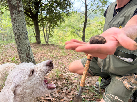 Croatia Private Tours-斯普利特必去景点