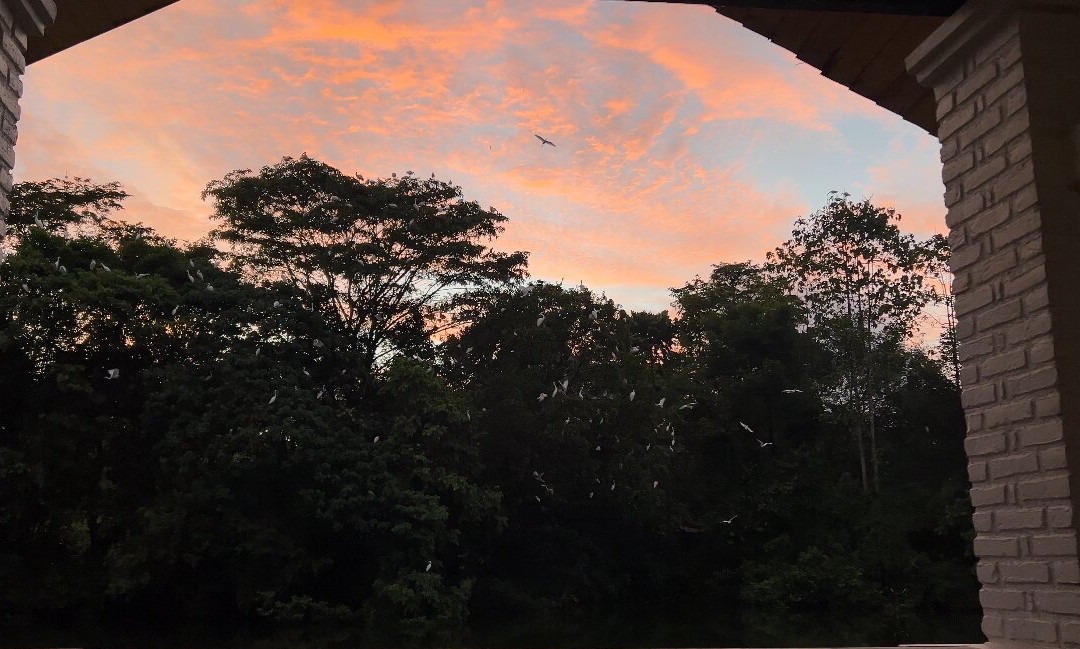 宁静湖精品酒店主图