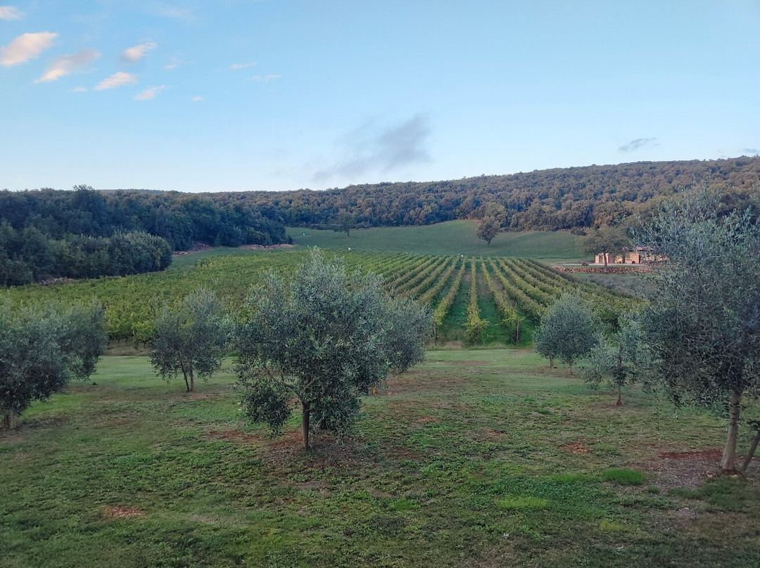 La Tenuta di Castelvecchio主图