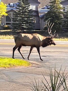 Quality Inn Estes Park-官方