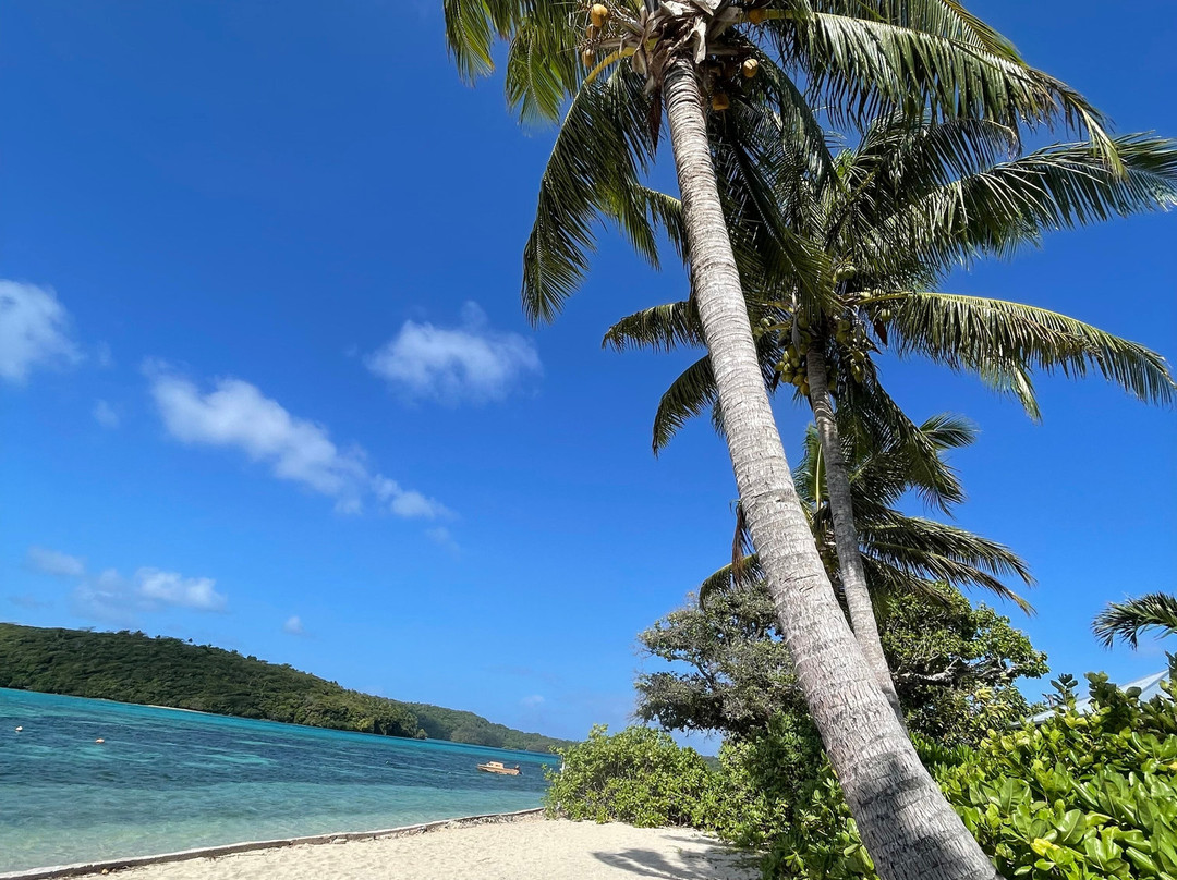 Lucky's Beach Houses主图