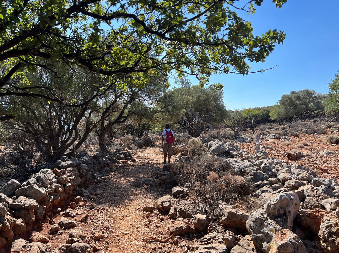 Kritsa Gorge-Kritsa必去景点