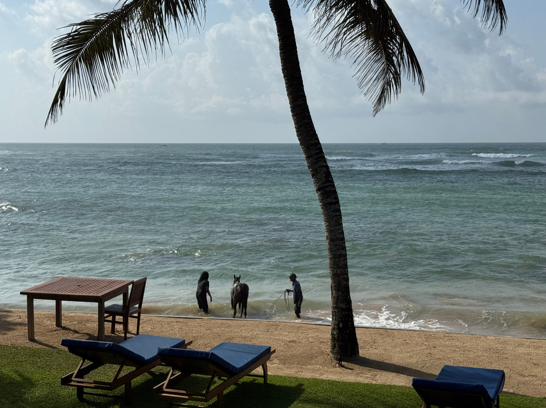 South Point Villa主图