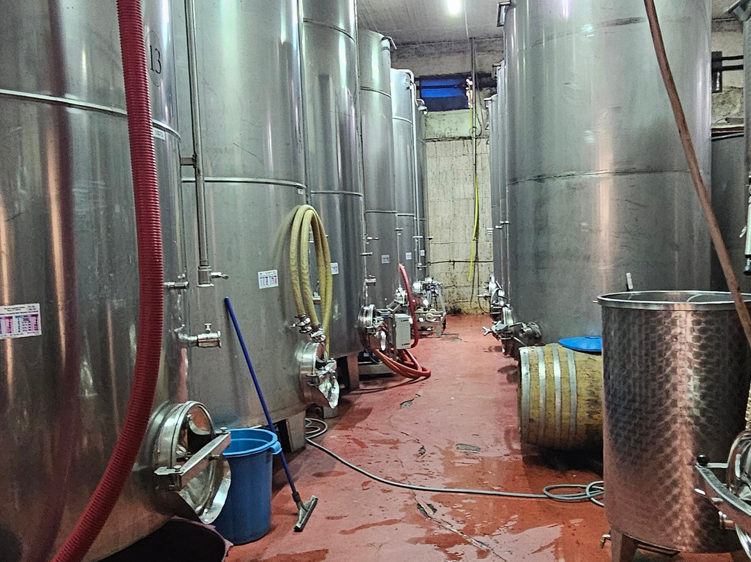 Cobo Winery-Ura Vajgurore必去景点