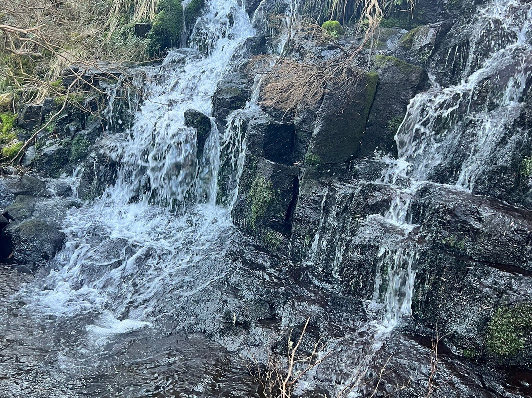 Dinner Plain Alpine Village-Dinner Plain必去景点