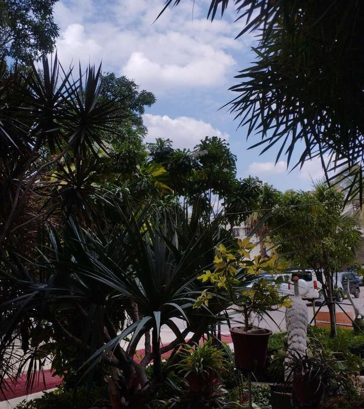 Beach Luxury Hotel主图