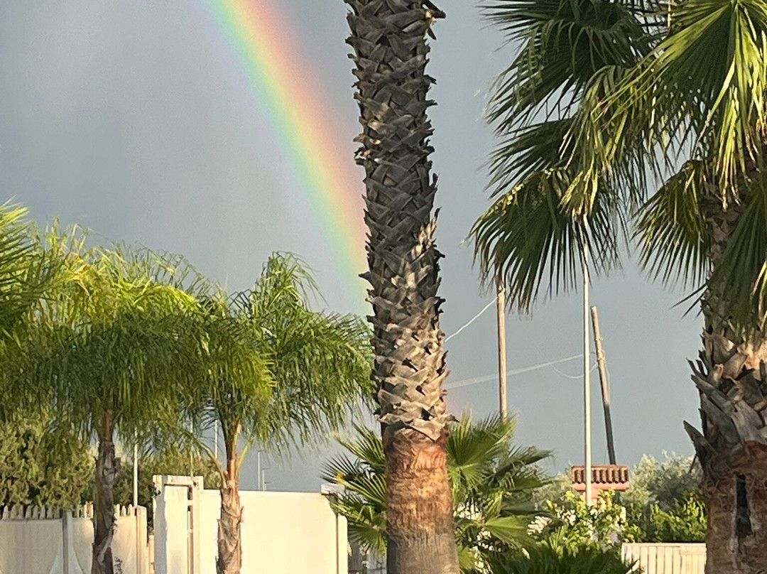 La casa di Frank主图