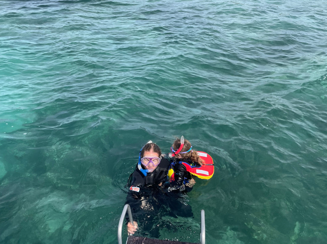 Lobster Shack Sea Lion Tour-塞万提斯必去景点