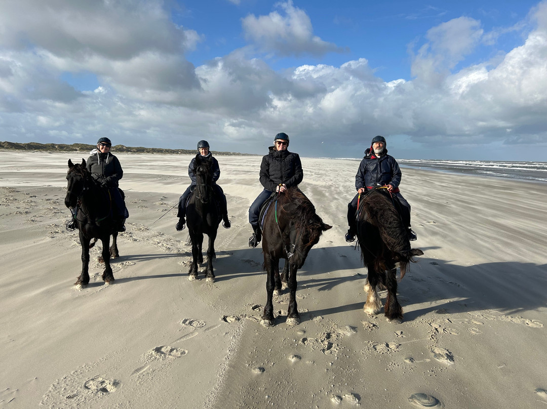 Puur Terschelling-Terschelling必去景点