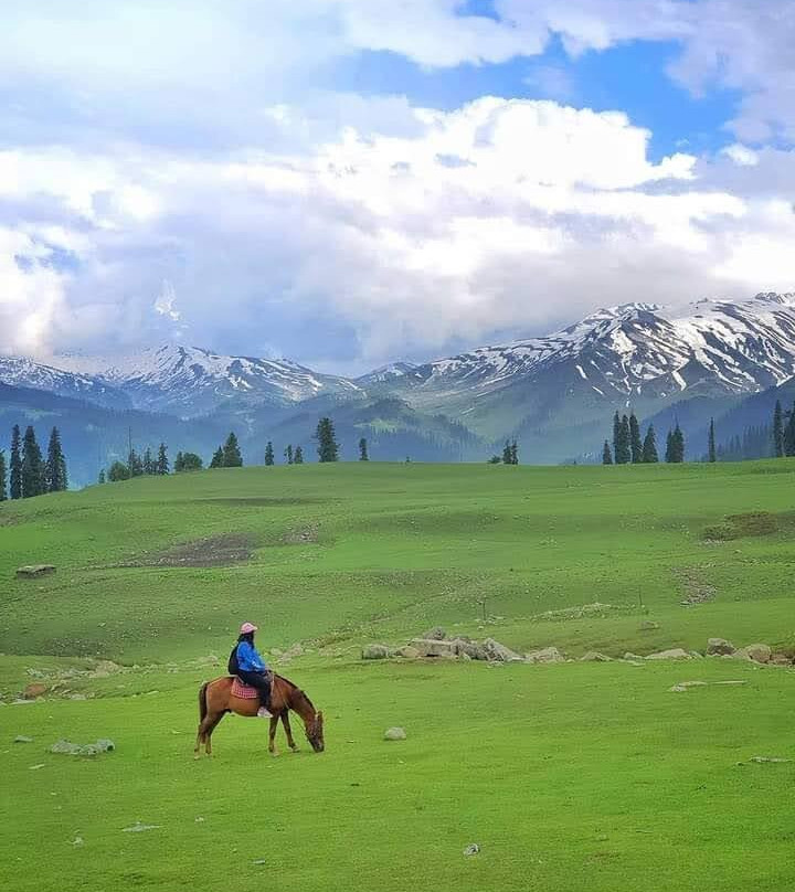 Swift Ready Go :JK Tour Operators-Baramulla必去景点