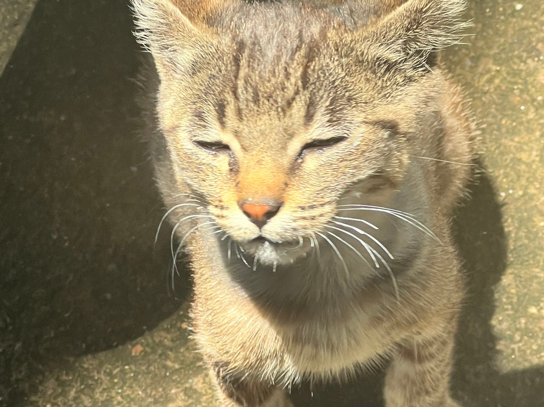 Haile Resort Hawassa主图