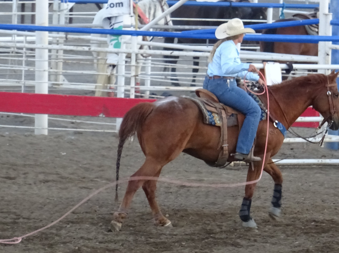 Cody Night Rodeo-科迪必去景点