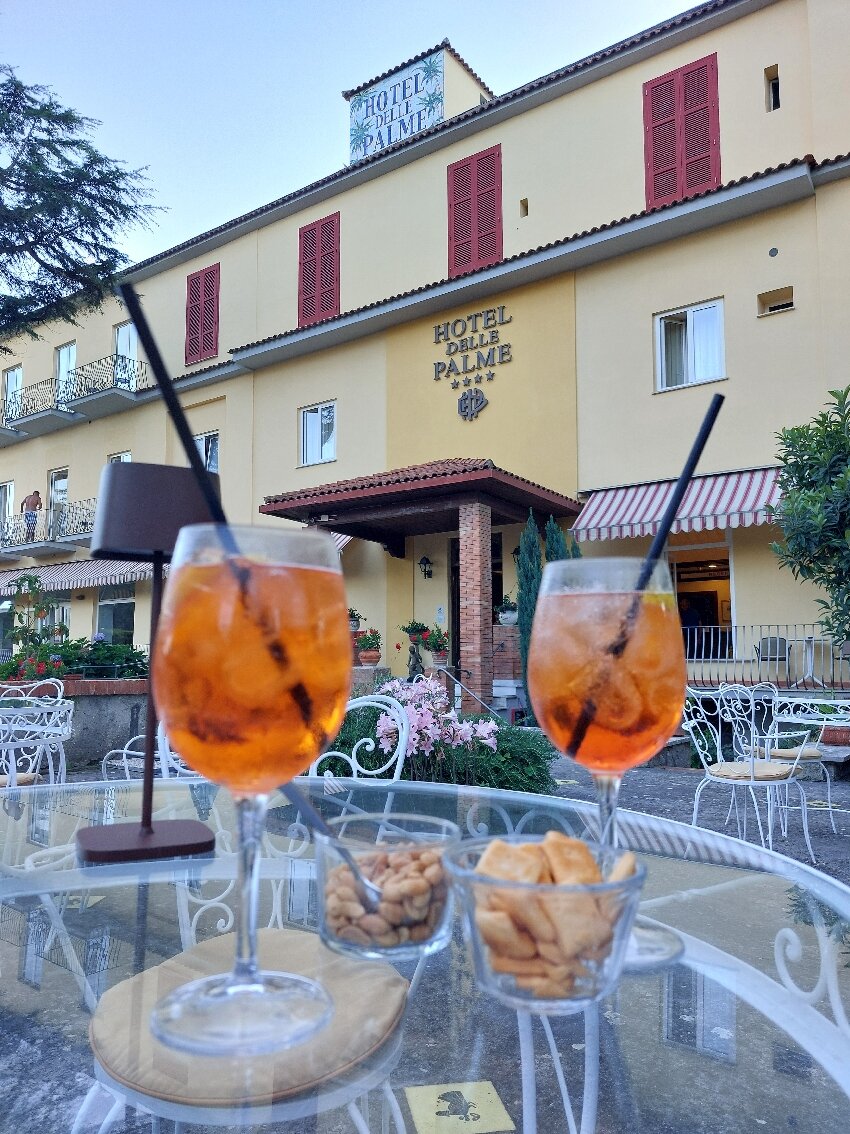Hotel Delle Palme-官方