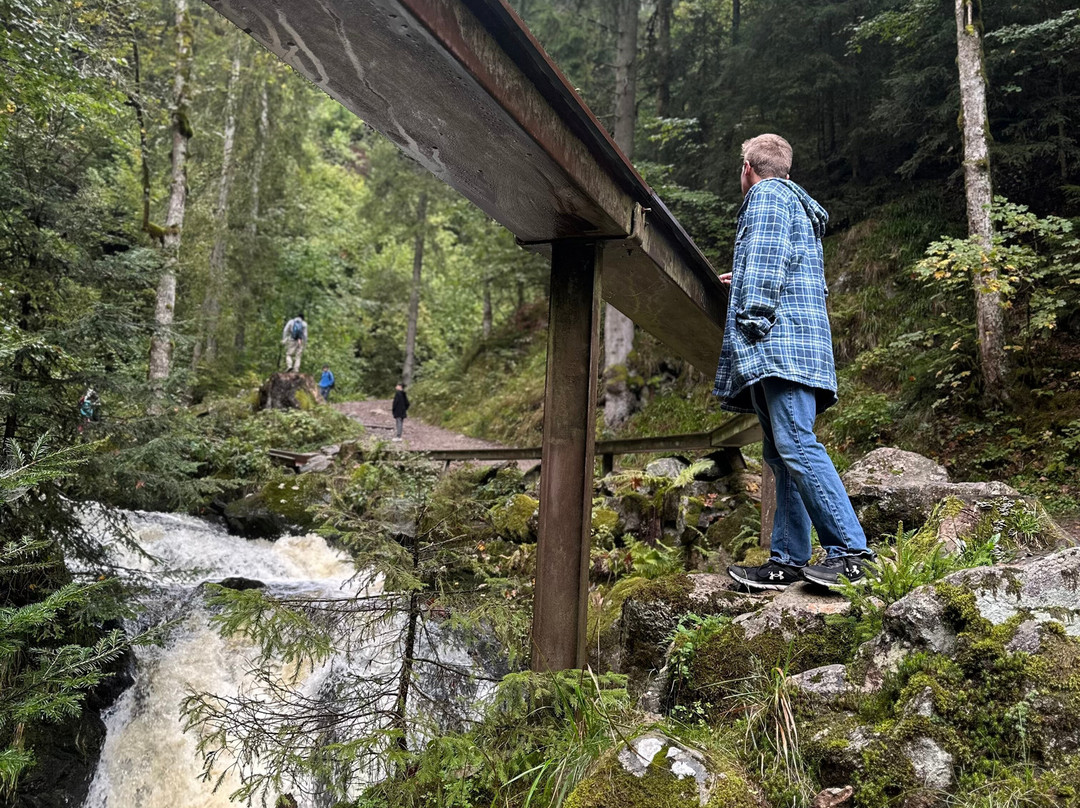 Ravennaschlucht-Breitnau必去景点