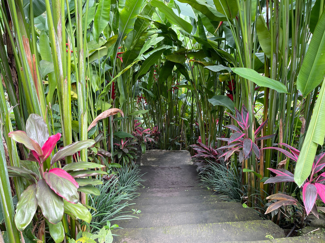 Sidemen Swing-席德门必去景点