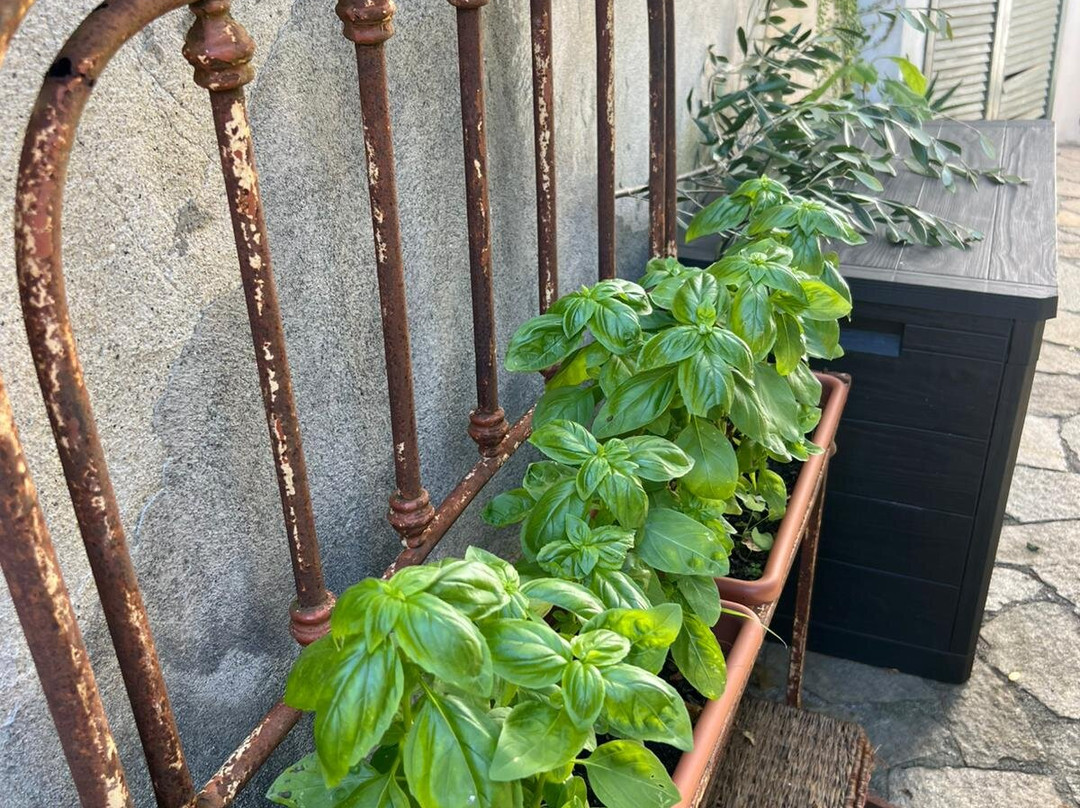 Bed And Breakfast Cà De Badin主图