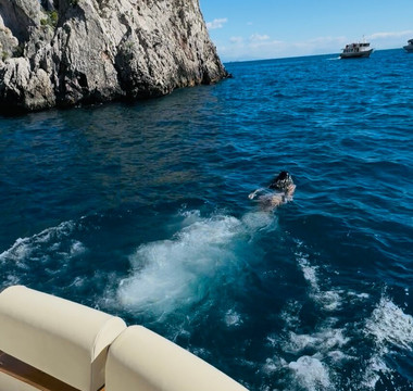 Ciro Capri Boats-卡碧岛必去景点