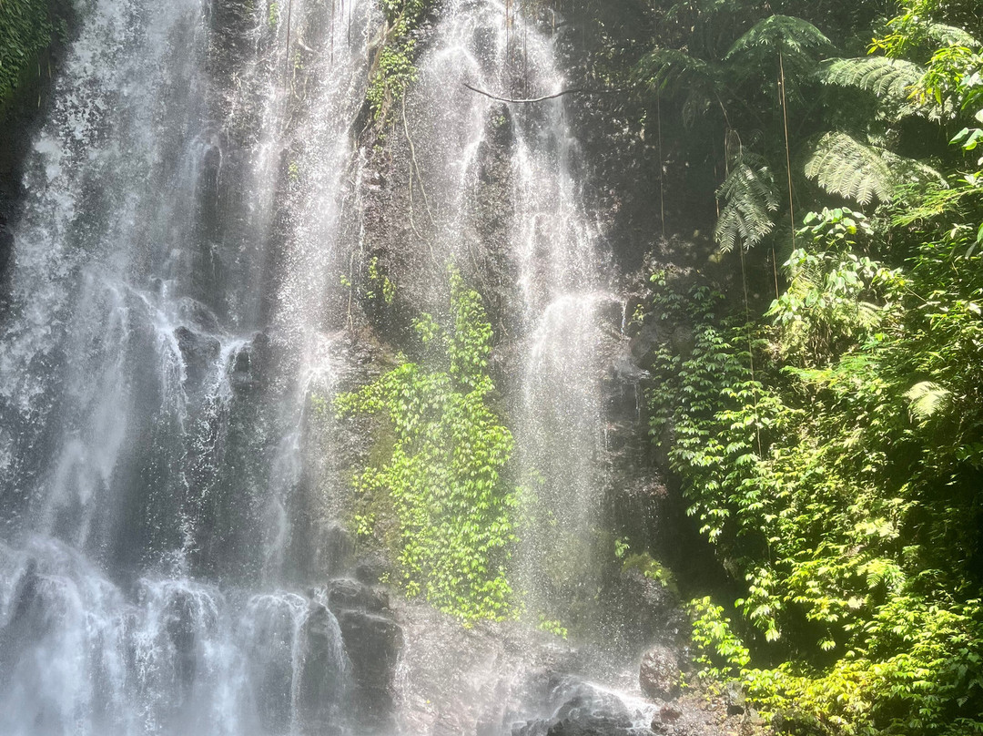 Bali Munduk Tour Package-姆杜克必去景点