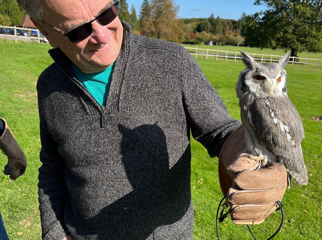 Surrey Hills Falconry-Ockley必去景点