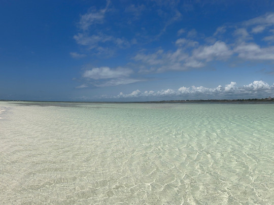 Kenya Safari Azzurro-瓦塔木必去景点