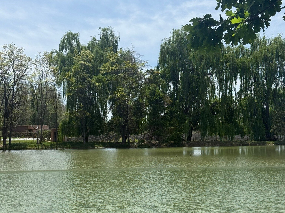 Mendoza Viagem-门多萨必去景点