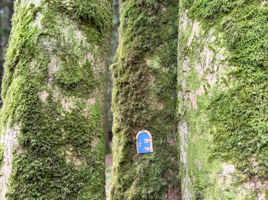 Finlaystone Country Estate-Langbank必去景点