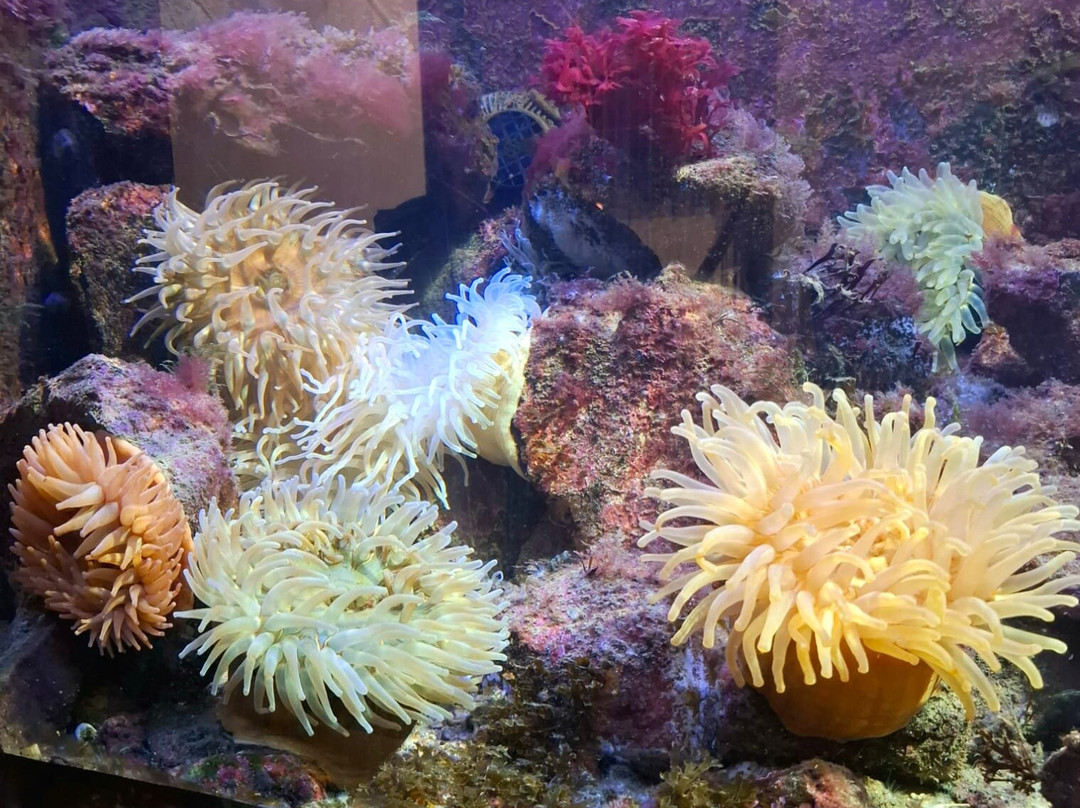 Bergen Aquarium-卑尔根必去景点