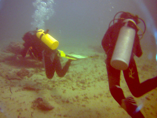 Blue-Fin Diving-马林地必去景点