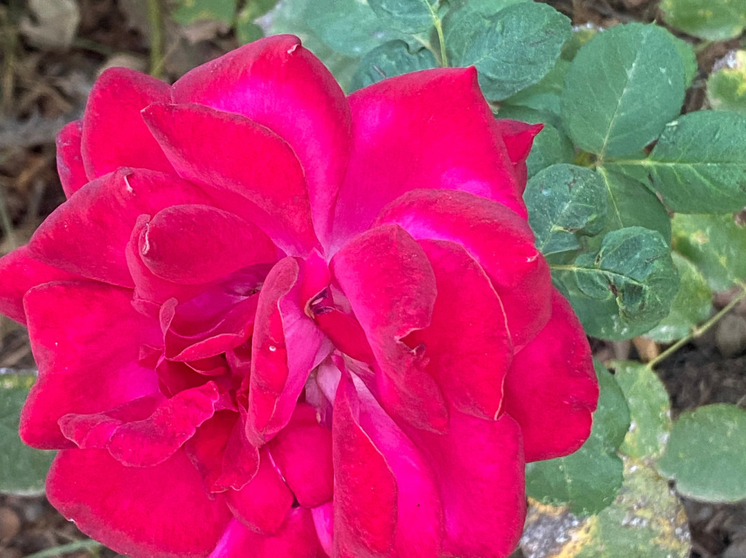 Domaine Malika主图