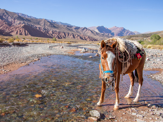 Origins Argentina Travels-萨尔塔必去景点
