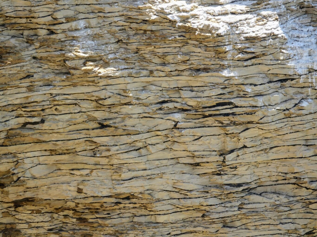 La Catedral-帕拉卡斯必去景点